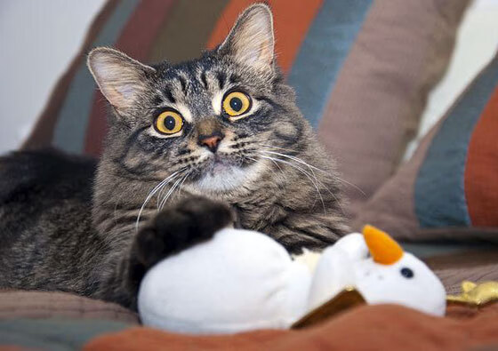 田径风速监测系统首次应用获好评,田径 风速