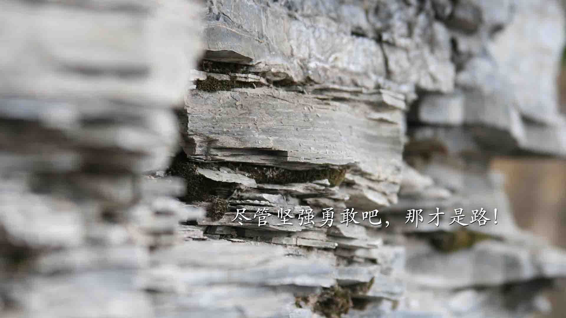 九游官网-中超主力阵容出场率统计图表，中超出场最多的球员