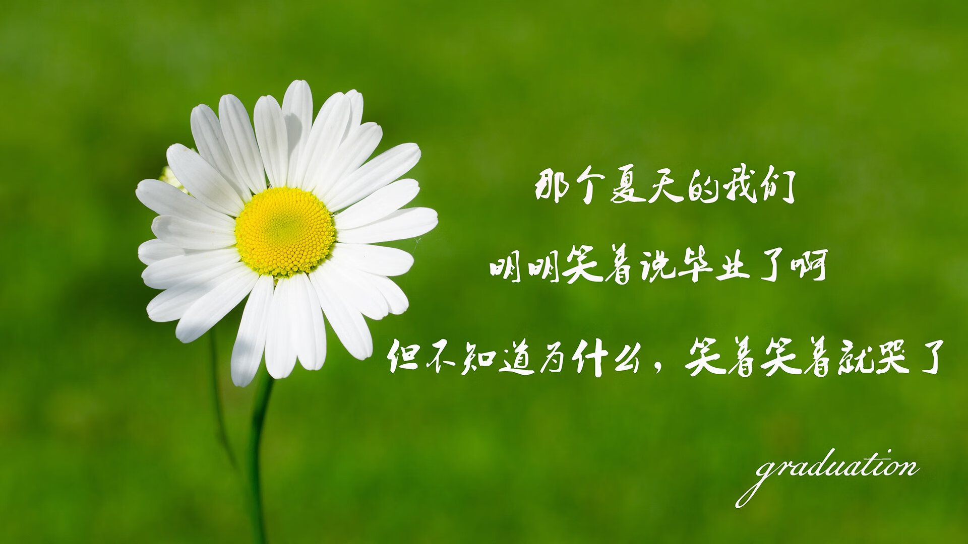 联赛升降级:悬念冲刺的关键战役盘点,联赛升降级制度