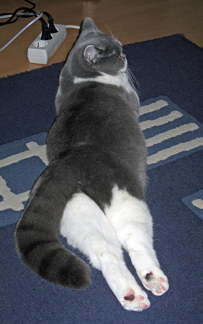 印度队2024年世界杯：展现出色的集体协作精神，印度进世界杯了吗