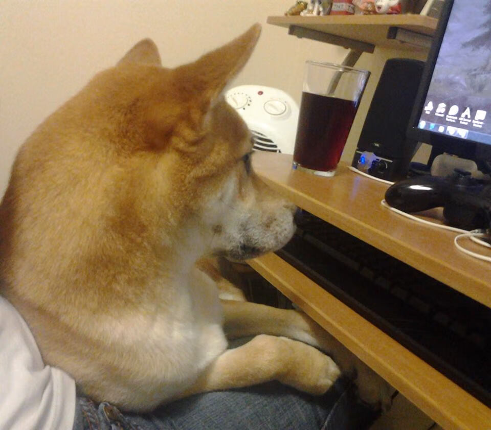 国际乒联混合团体世界杯:澳大利亚队的精彩表现与未来展望,国际乒联澳大利亚公开赛