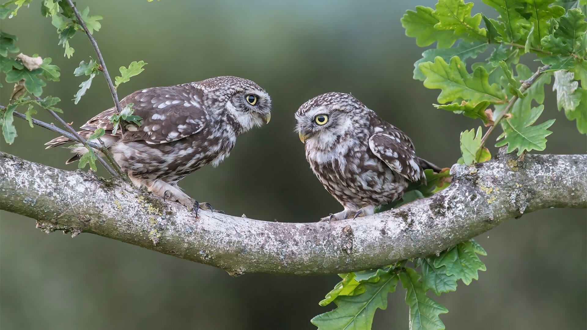 奥预赛国足晋级 球员状态逐渐回暖,国奥队预选赛赛制规则